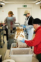 Bringeb├ªrlandet-5.jpg